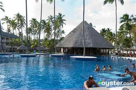 Más florero Lingüística barcelo bavaro beach hotel punta cana ...