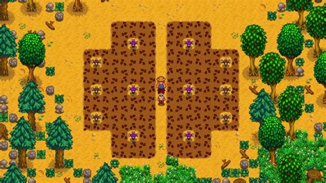 Stardew Valley Sprinkler Types: Layout, Ranges & Setup (with Images) (2023)