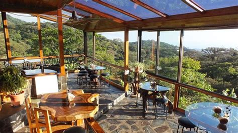 HIDDEN CANOPY TREEHOUSES BOUTIQUE HOTEL - Updated 2024 Reviews & Photos