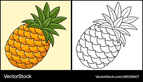 Pineapple fruit coloring page colored Royalty Free Vector