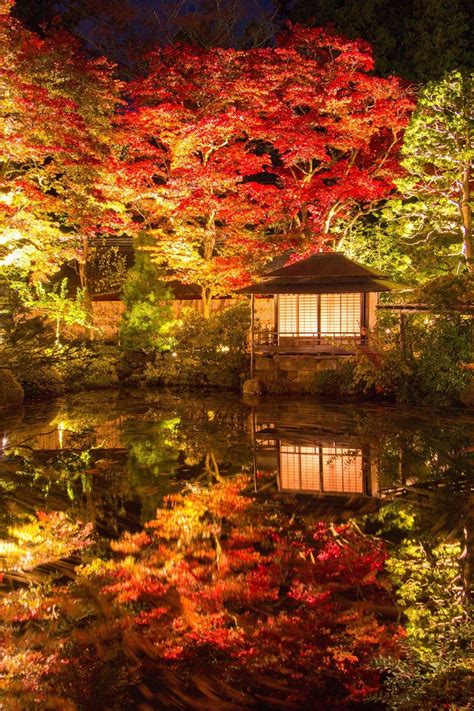 Nikko, Tochigi, Japan via New | TOKYO CAMERA CLUB Autumn Leaves Beautiful World, Beautiful ...