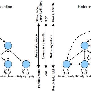 Hierarchical and heterarchical organizations. A heterarchy differs from... | Download Scientific ...