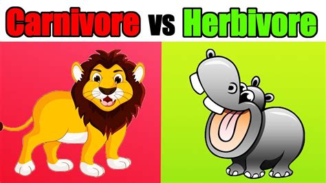 Carnivore Teeth Vs Herbivore