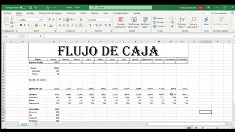 Flujo de caja - YouTube