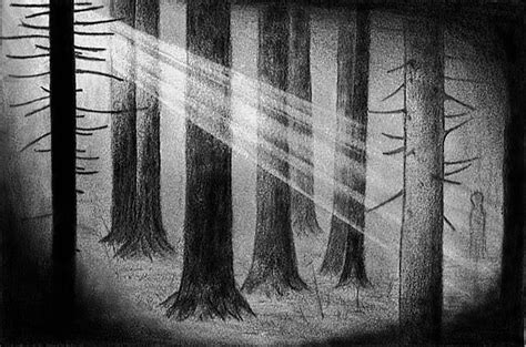 a black and white drawing of trees with light coming through the branches in the background