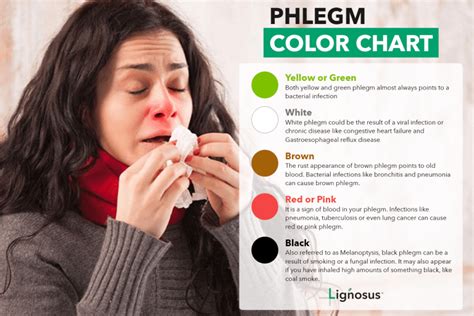 Green Phlegm: Is It Bad News? | Lignosus