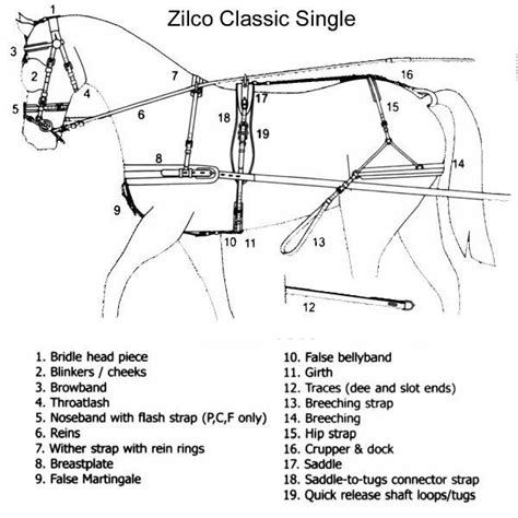 horse harness parts diagram - Yahoo Search Results | Horse harness ...