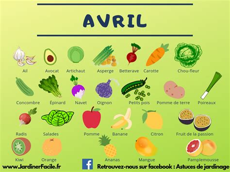 Avril : découvrez les fruits et légumes de saison