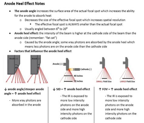 Notes taken watching the RTBC video "Anode Heel Effect (x-ray tube)." 2022 ARRT content specs ...