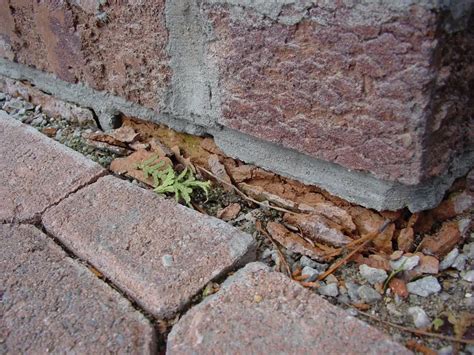 Q&A OF THE WEEK: "Why is the Brick on My House Crumbling?"