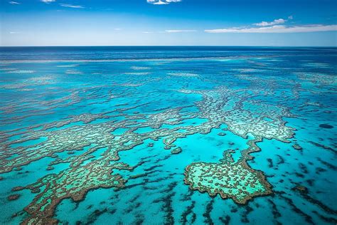 How Many Types Of Coral Reefs Are There? - WorldAtlas