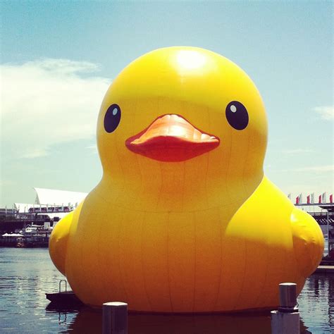 Giant rubber ducky in Darling Harbour, Sydney. | Rubber ducky, Ducky, Tough day