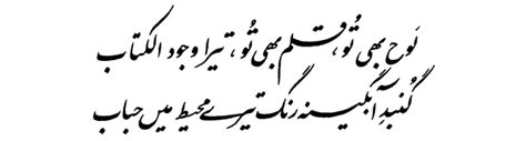 Allama Iqbal Poetry کلام علامہ محمد اقبال: (Bal-e-Jibril-132) Zauq-o-Shauq (Ecstasy)