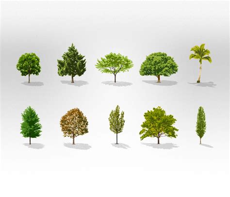 Free Vector Trees Collection