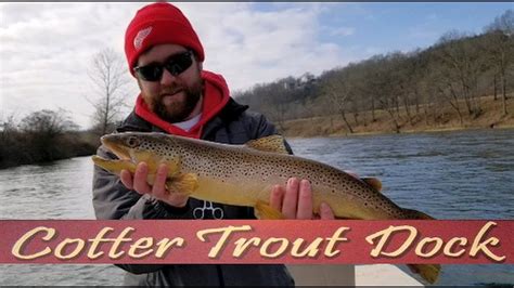 Arkansas White River Trout Fishing Report February 6, 2019 - YouTube