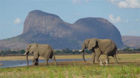 Viaggio naturalistico in Mozambico: la perla africana che pochi conoscono