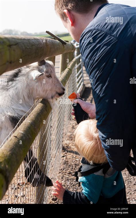 Families / visitors / people with kids / children / child feeding feeds ...