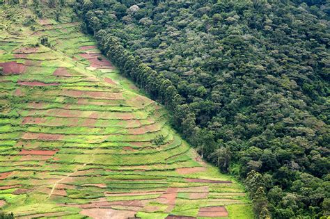 Africa’s vegetation has lost 2.6bn tonnes of CO2 in just seven years - Carbon Brief