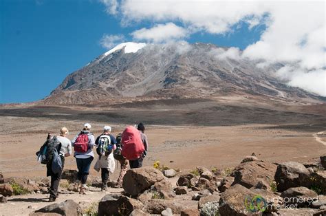 Climbing Mount Kilimanjaro Kilimanjaro Climb, New Zealand Adventure ...