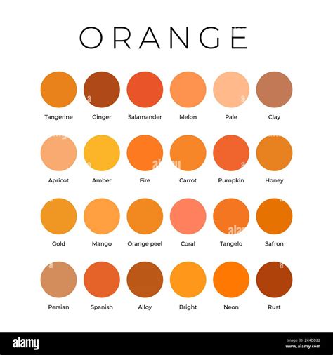 Orange Color Shades Swatches Palette with Names Stock Vector Image ...