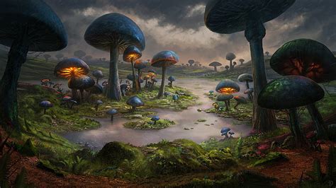 Fantasy, Forest, Lake, Magical, Mushroom, HD wallpaper | Peakpx