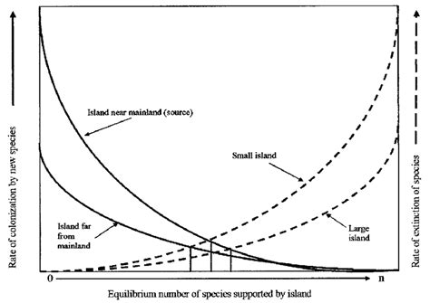 Graphic representation of island biogeography theory. Large islands ...