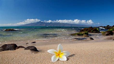 maui wallpaper Maui hawaii beach wallpapers sunset makena ocean sea ...