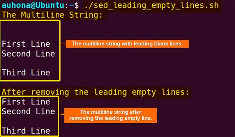 How to Remove Empty Lines in Bash? [5 Methods] - LinuxSimply