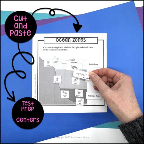 Ocean Zones Diagram | Made By Teachers