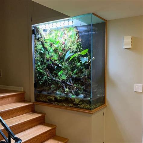 Vivarium en verre: Top 10 des plus beaux - Côté Verre