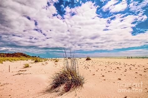 Boca Grande Beach Photograph by David Lane - Pixels