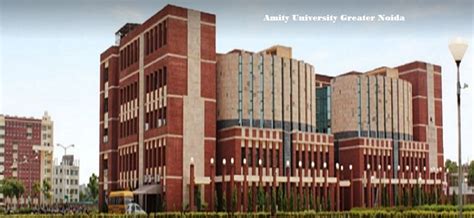 Amity University Greater Noida: Fees, Course & Cutoff