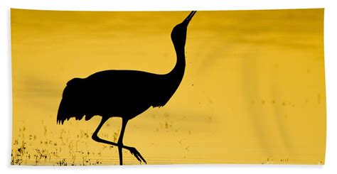 Sandhill Crane Silhouette at GetDrawings | Free download