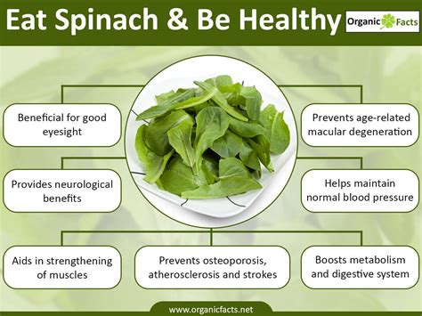 15 Impressive Benefits of Spinach | Spinach benefits, Spinach health benefits, Anti aging herbs