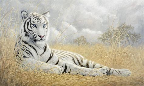 White Tiger Painting by Lucie Bilodeau