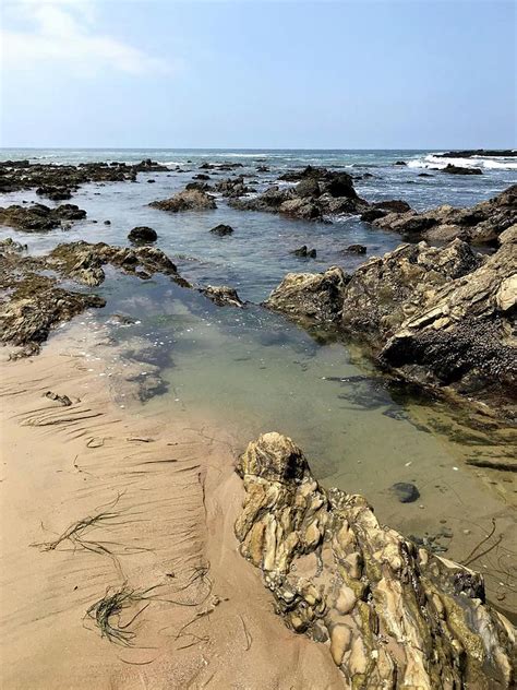 Crystal Cove Tide Pools Photograph by Elaine Peterson - Fine Art America