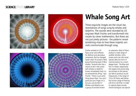 Whale Song Art - Science Photo Library