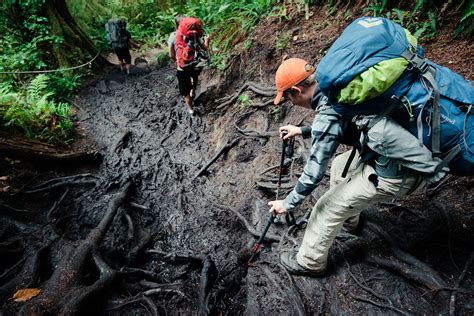 The West Coast Trail: Vancouver Island's Iconic Hike | Switchback Travel