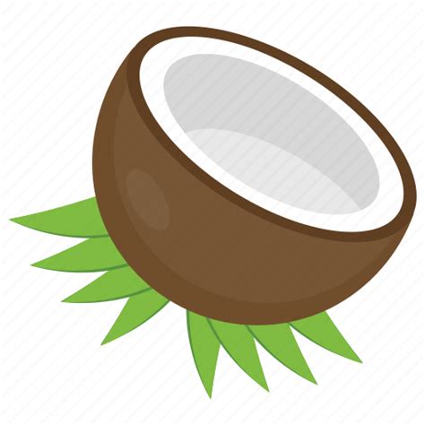 Coconut, coconut fruit, coconut shell, half coconut, tropical fruit icon