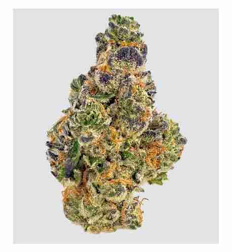 Banana Bread Marijuana Strain | GrowingWeed