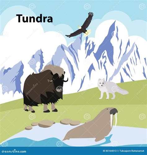 Tundra Eco Style Life Forest Wildlife Cartoon Vector | CartoonDealer.com #85164013