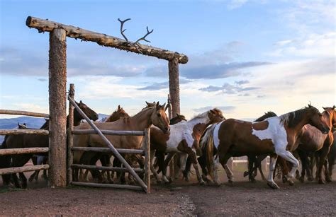 Black Mountain Ranch | A Colorado.com Blog