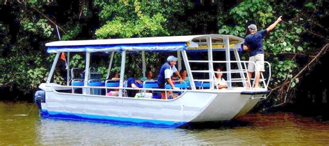 Daintree Rainforest River Cruise Tickets - Book Now | Experience Oz