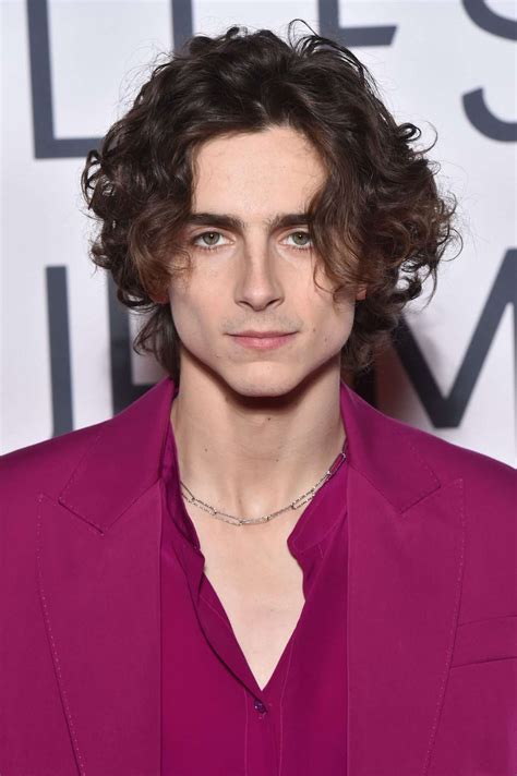 Timothée Chalamet Debuts Mustache at the 2020 National Board of Review Gala