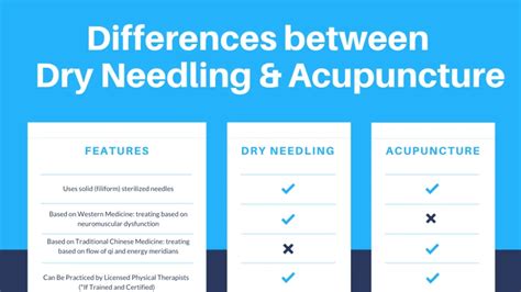 Dry Needling vs Acupuncture: Unraveling the Differences