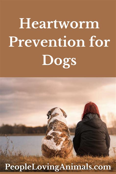 Heartworm Prevention for Dogs - This is100% Preventable