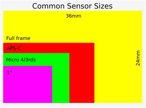 Micro Four Thirds Camera Buyers Guide | digiDirect