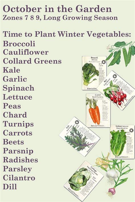 22+ Awe-Inspiring Fall And Winter Vegetables | Inspiratif Design