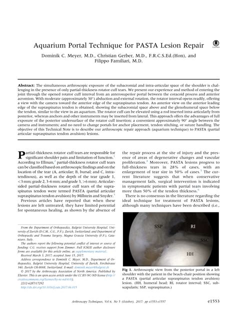 (PDF) Aquarium Portal Technique for PASTA Lesion Repair