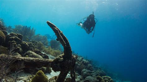 5 Reasons You Need to Try Diving at A Dive Resort in Batangas | Vivere Azure — Batangas Beach Resort